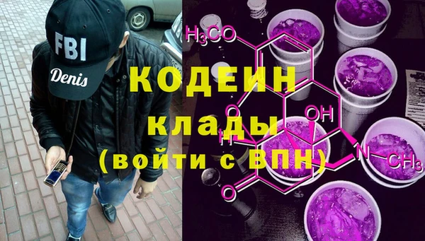 шишки Белокуриха