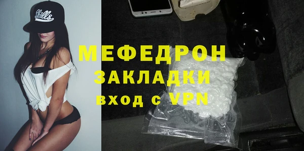 шишки Белокуриха