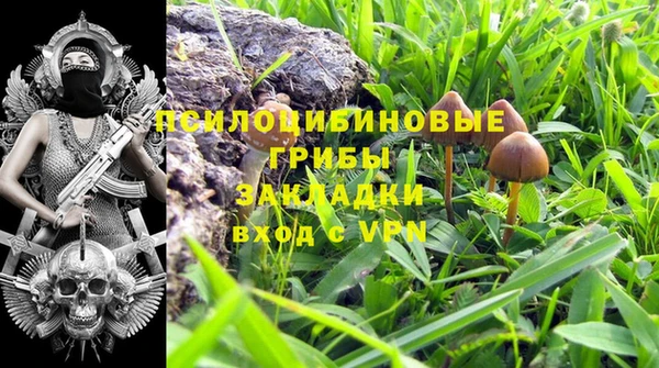 дживик Богородицк