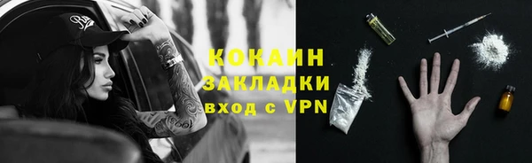 шишки Белокуриха
