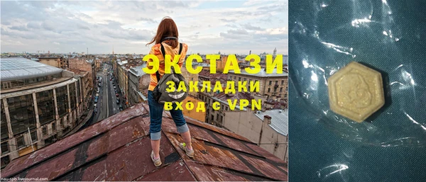 дживик Богородицк