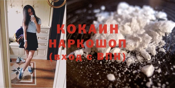 шишки Белокуриха