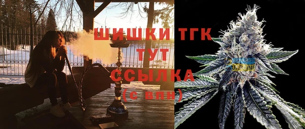 ECSTASY Богданович