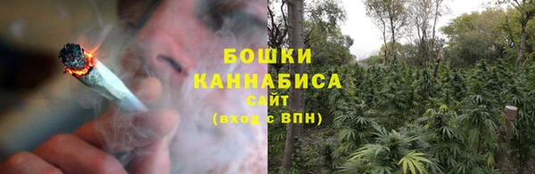 дживик Богородицк