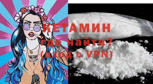 шишки Белокуриха